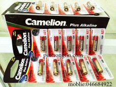 pintrongtin.com , pin camelion 12v