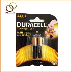 Pin Duracell aa